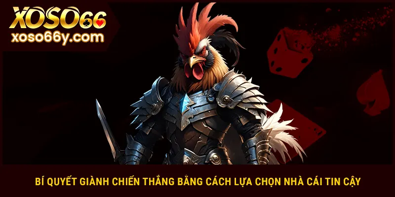 Bí quyết giành chiến thắng bằng cách lựa chọn nhà cái tin cậy