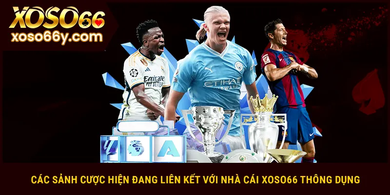 Các sảnh cược hiện đang liên kết với nhà cái XOSO66 thông dụng