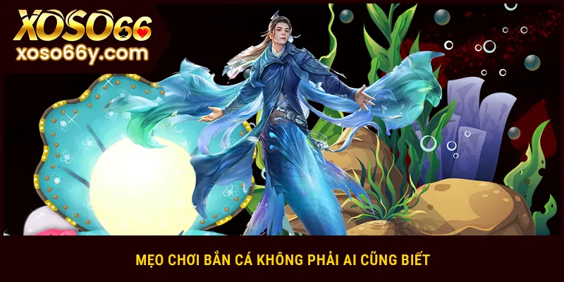 Mẹo chơi bắn cá tiên nữ không phải ai cũng biết