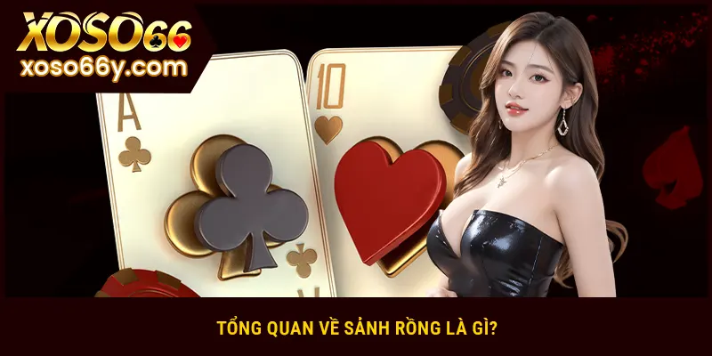 Tổng quan về sảnh rồng là gì?